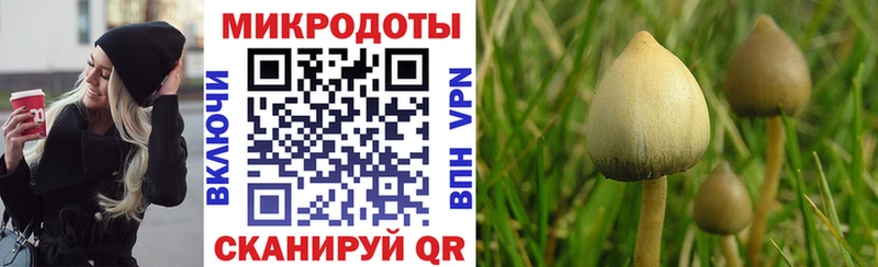 mega онион  Апатиты  Псилоцибиновые грибы MAGIC MUSHROOMS 